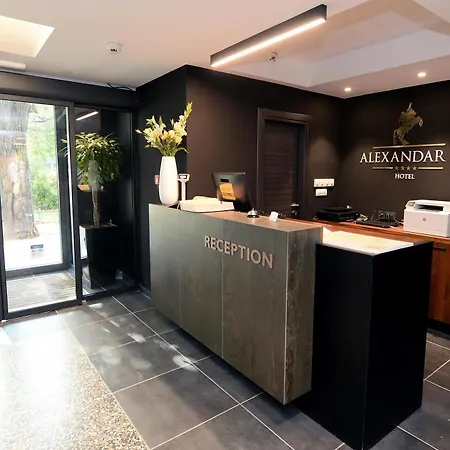 Alexandar Ii Hotel